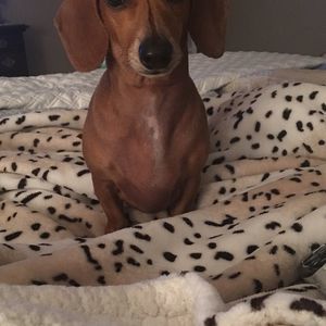 Meet your Posher, Mary ann